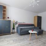 Rent 1 bedroom apartment of 25 m² in Wałbrzych
