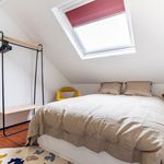 Rent 6 bedroom apartment in Ixelles