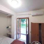 Affitto 2 camera appartamento di 50 m² in Stalettì