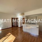 Rent 2 bedroom apartment of 57 m² in Roma