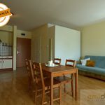 Rent 1 bedroom apartment of 36 m² in Warszawa