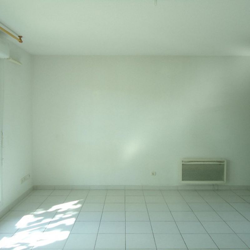 appartement, 31m², 1 pièce en location à montpellier - 527 € par mois Lattes