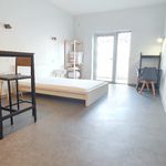 Rent 1 bedroom apartment of 27 m² in Rignac