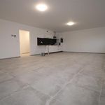 Rent 2 bedroom apartment in Chapelle-lez-Herlaimont