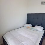 Rent 1 bedroom apartment of 20 m² in Villeurbanne