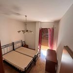 Rent 4 bedroom apartment of 100 m² in Carrara