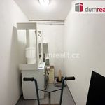 Rent 2 bedroom apartment of 42 m² in Litoměřice