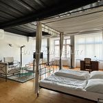 Rent 1 bedroom apartment of 106 m² in České Budějovice