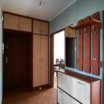 Rent 3 bedroom apartment of 64 m² in Bełchatów