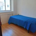 Rent 2 bedroom apartment of 61 m² in Alicante
