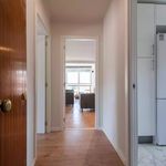 Alquilar 7 dormitorio apartamento en Escalona