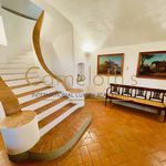 Affitto 5 camera casa di 500 m² in Fiesole