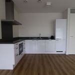 Rent 2 bedroom apartment of 82 m² in Rotterdam