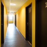 Rent a room of 31 m² in Bègles