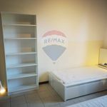 Affitto 4 camera appartamento di 110 m² in Bologna