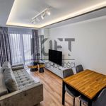 Wynajmij 3 sypialnię apartament z 55 m² w Lublin