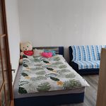 Rent 1 bedroom apartment in Jičín