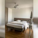 Rent 1 bedroom apartment in CENON