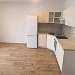 Rent 1 bedroom apartment of 327 m² in Mikulov