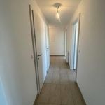 Rent 3 bedroom apartment of 74 m² in Dürnkrut