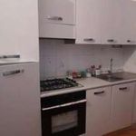 Affitto 3 camera appartamento di 70 m² in Alessandria