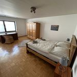 Miete 3 Schlafzimmer wohnung von 120 m² in Andernach