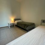 Rent a room of 120 m² in bologna