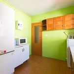 Rent a room of 300 m² in Granada