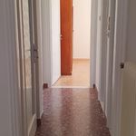 Rent 2 bedroom apartment of 100 m² in Glyfada