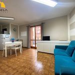 Rent 1 bedroom apartment of 42 m² in Mondovì
