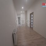 Rent 1 bedroom apartment of 87 m² in Louny
