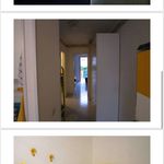 Affitto 2 camera appartamento di 80 m² in San Vito lo Capo