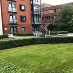Rent 1 bedroom apartment in Solihull