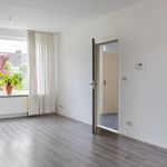 Huur 4 slaapkamer huis van 117 m² in Westergeast