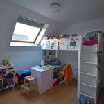 Rent 3 bedroom house of 236 m² in Lievegem
