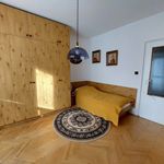 Rent 3 bedroom apartment of 75 m² in Konice