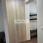 Rent 1 bedroom apartment of 33 m² in Dolní Olešnice