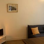 Rent 1 bedroom apartment of 24 m² in Pau