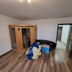 Rent 1 bedroom house of 250 m² in Dolní Olešnice