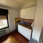Rent 6 bedroom house of 300 m² in Zagreb