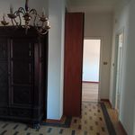 Affitto 3 camera appartamento di 90 m² in Torino