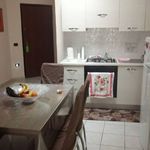 Rent 2 bedroom apartment of 40 m² in Acerra