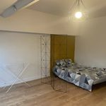 Rent 1 bedroom apartment of 30 m² in Saint-Priest-en-Jarez