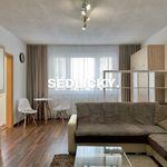 Rent 1 bedroom apartment of 39 m² in Číhošť