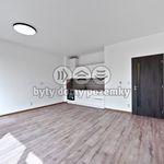 Rent 1 bedroom apartment of 35 m² in Děčín