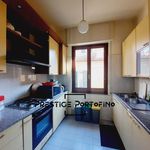 Rent 1 bedroom apartment in Santa Margherita Ligure