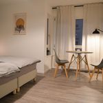 Rent 1 bedroom apartment of 22 m² in Mannheim