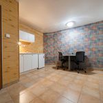 Rent 1 bedroom apartment of 15 m² in Chrudim