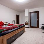 Rent 1 bedroom house in Karviná