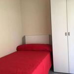 Rent a room in Colmenar Viejo